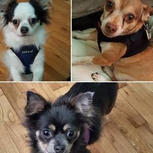 Meet your Posher, Denise